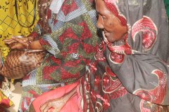 gamco_badibu_noo_kunda_4